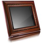 ALURATEK 10.5 HI-RESOLUTION DIGITAL PHOTO FRAME/MP3/VIDEO PLAYER W/256MB BUILT-IN MEMORY & REMOTE