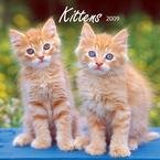 Kittens 2009 Mini Wall Calendar