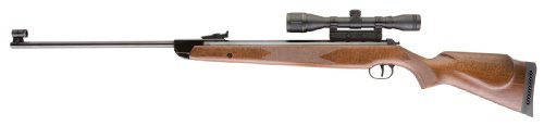 RWS .177 Pellet Model (Wood Large)