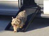 Pet Supplies : Simpson Ventures Mr. Herzher's Smart Ramp Jr