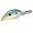 Sexy Shad