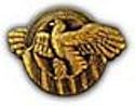 Ruptured Duck Small Hat Pin