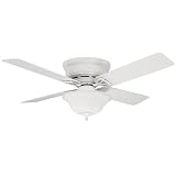 Hunter Fan Low-Profile IV Plus Ceiling Fan
