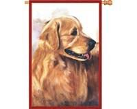 image link -  - B001BZQLXS