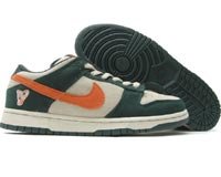 Nike Dunk Low Pro SB Eire Edition (net / deep orange)