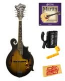 Washburn M3EK F-Style
