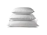 Review United Pillow  / Down Blend Square Pillow Insert, 22x22 10/90