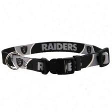 Oakland Raiders Dog Collar Medium