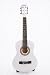 Little Lyon Musical Arts Nylon String Acoustic Guitar
