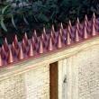 ASPuk Fence and Wall Security Spikes, Brown (4m Pack / 8 Strips)