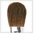 Blush Brush
