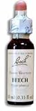 Beech Tincture 20 ml