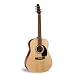 Seagull Coastline S6 Spruce Acoustic Guitar