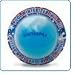 Swimming Pool AquaPill Winterizing Pill