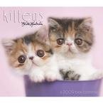 Kittens Calendar 2009