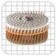 Bostitch NAIL ACP6DCRALM10M 2 X 099 RIN