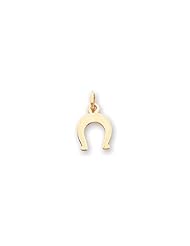 14k Horseshoe Charm