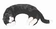 Warm Whiskers Black and White Tuxedo Cat Oreo Kitty Lavender Aroma Therapy Herbal Neck or Body Wrap