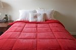 College Plush Comforter - Red