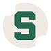 Michigan State University Carsters - Coasters for Your Car