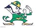 WinCraft Notre Dame Ultra Decal