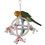 Super Bird Creations Orbiter 13in x 10in Small Bird Toy