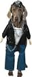 Biker Dog Pet Costume
