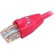 Cables Unlimited KaBLING UTP-1450-25H Cat5e Patch Cable with Bling and Snagless Boot (25 feet, Hot Pink)