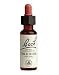 Wild Rose 20 ml ( Rosa canina ) By Bach Flower Essences