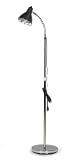 Hausmann Gooseneck Floor Lamp