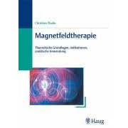Magnetfeldtherapie. Theoretische Grundlagen, Indikationen, praktische Anwendung (Taschenbuch)