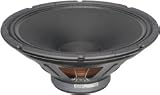 SoundTech 15 Speaker 300W
