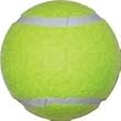 Tennis Balls - Economy Practice - Equipment