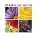 Kitchen & Housewares : The Big Family Organiser 2009 Planner