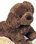 216pxPfryrL Stuffed Clem Chocolate Lab