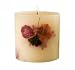 Rosy Rings Hibiscus Lime 4' Mini Round