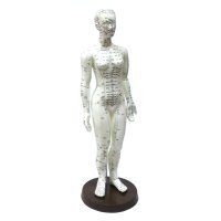Model Anatomy Professional Medical Acupuncture Female 48cm 19
