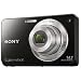 Sony Cyber-Shot DSC-W560 14.1 MP Digital Still Camera with Carl Zeiss Vario-Tessar 4x Wide-Angle Optical Zoom Lens and 3.0-inch LCD (Black)