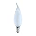 Candelabra Frosted Glass E-12 Base Very Warm White