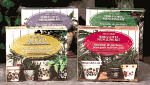 Pot Stencil Kit - Outdoor Wonders