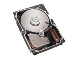 300GB SCSI U320 10K Rpm Xseries Hs Ssl for U320 Drive Cage Only