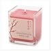 Ylang Rosemary Candle - Style 12027