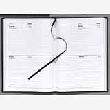 Electronics : Letts 2009 Diary A4 2 Days to a Page Assorted 21Z