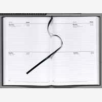 Childrens Toyshop  Electronics : Letts 2009 Diary A4 2 Days to a Page Assorted 21Z