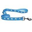 Seaside Ribbon Sea Turtles Leads 6ft