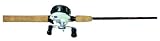 Pflueger Maxx Low - P Baitcast Combo 6'6 Med 3+1BB
