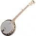 Musical Instruments : Deering The Goodtime 2 Banjo
