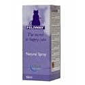 Feliway Spray