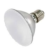 50-watt PAR30 flood halogen bulb with frosted lens