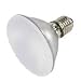50-watt PAR30 flood halogen bulb with frosted lens